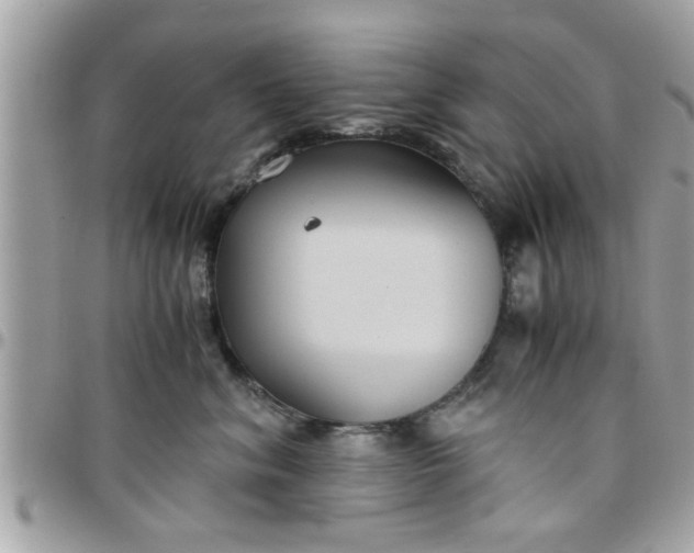 X0000097760620200803211715