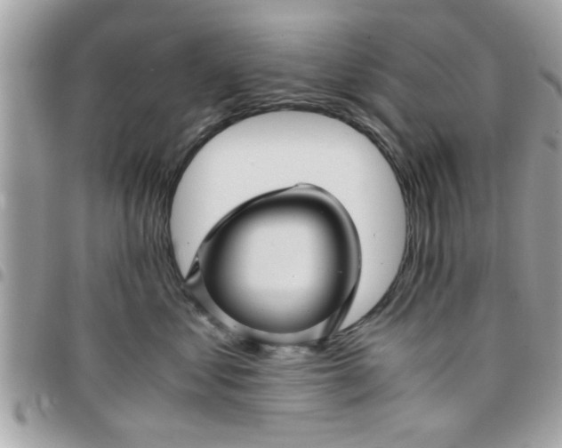 X0000097760621200803211715