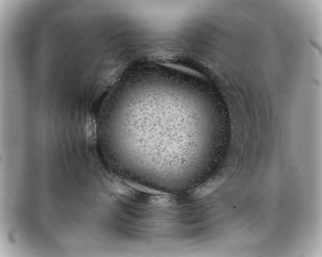 X0000097760624200803211715