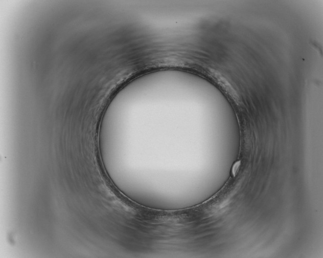 X0000097760625200803211715