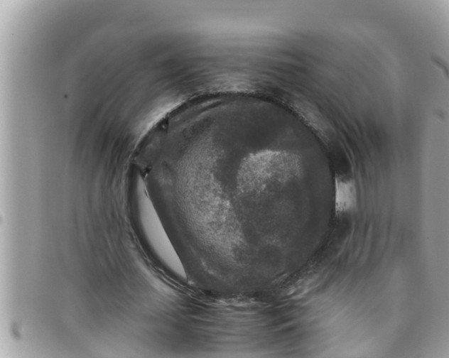 X0000097760627200803211715