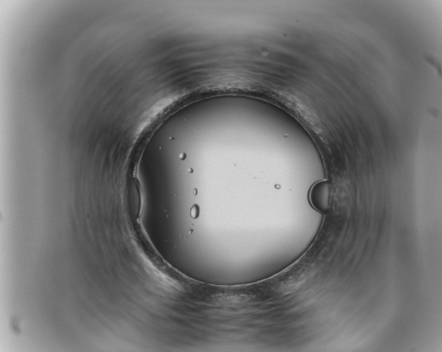 X0000097760629200803211715