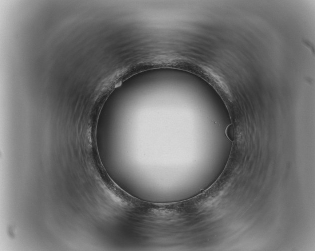 X0000097760633200803211715