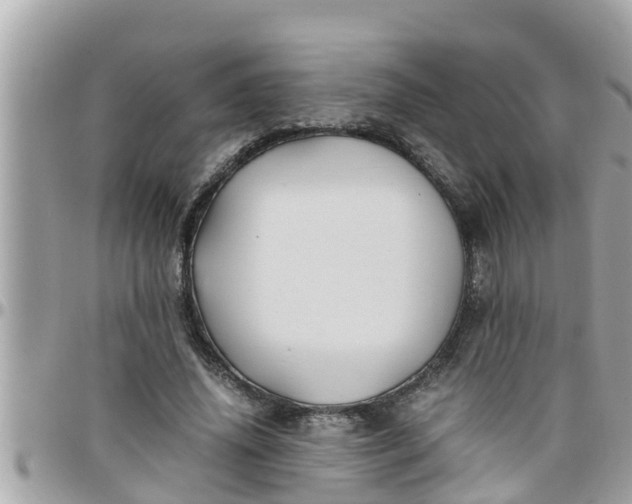 X0000097760636200803211715