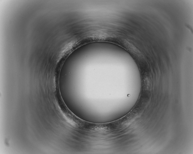 X0000097760638200803211715