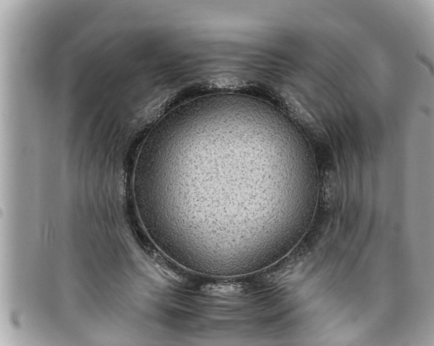 X0000097760639200803211715