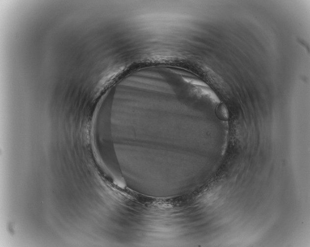 X0000097760640200803211715