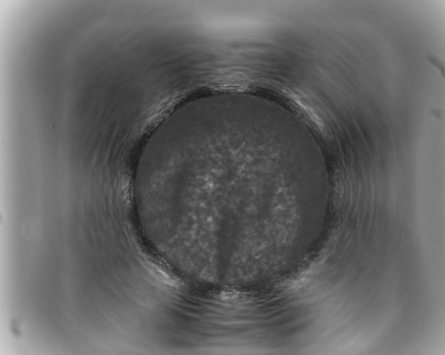 X0000097760641200803211715