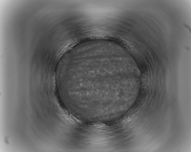 X0000097760642200803211715