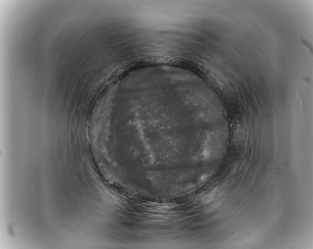 X0000097760643200803211715