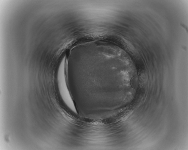 X0000097760644200803211715