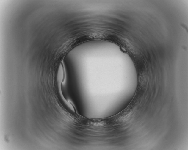 X0000097760645200803211715