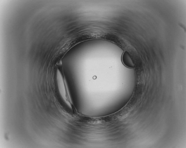 X0000097760646200803211715