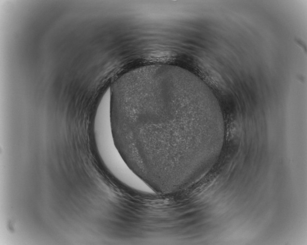 X0000097760647200803211715