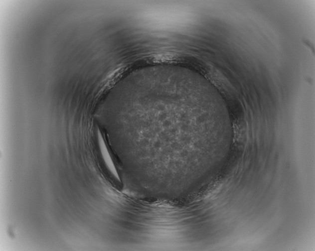 X0000097760648200803211715