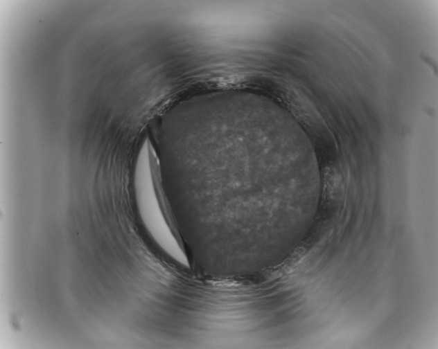 X0000097760650200803211715