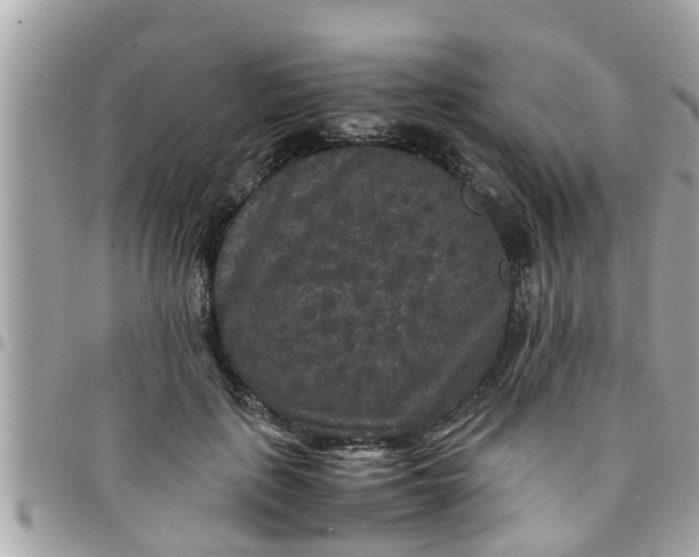 X0000097760651200803211715