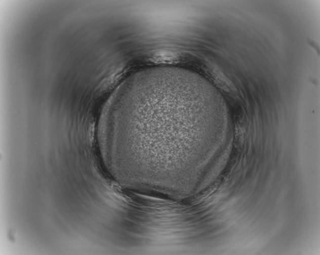 X0000097760652200803211715