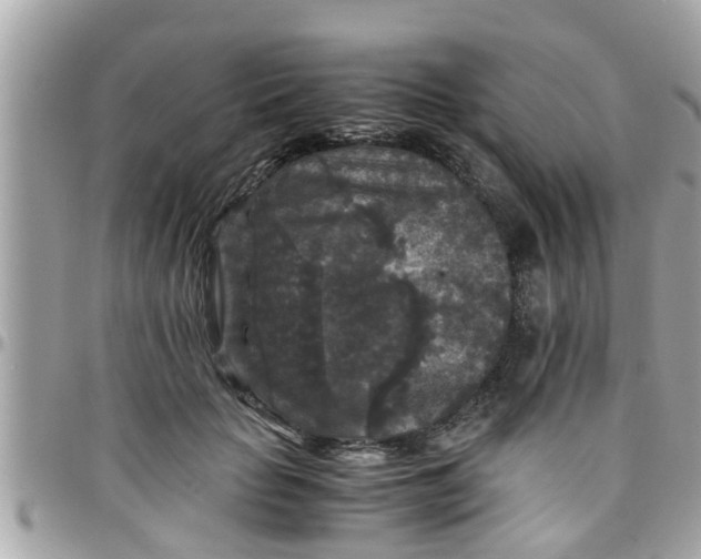 X0000097760653200803211715