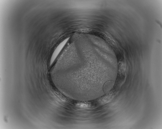 X0000097760655200803211715