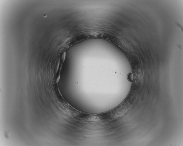 X0000097760656200803211715