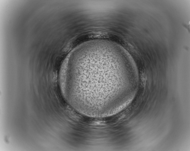 X0000097760657200803211715