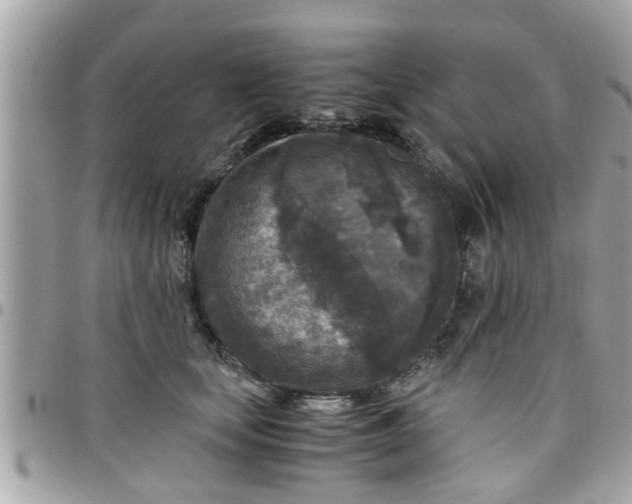 X0000097760659200803211715