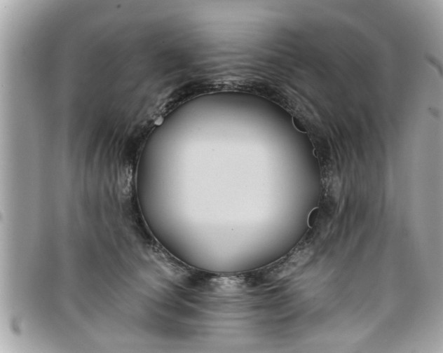 X0000097760660200803211715