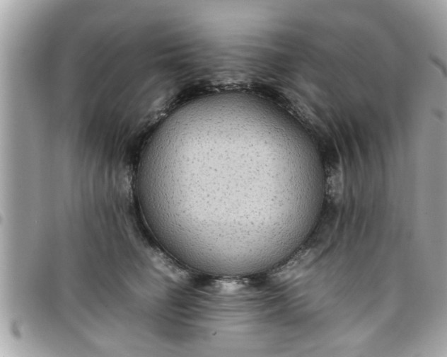 X0000097760662200803211715