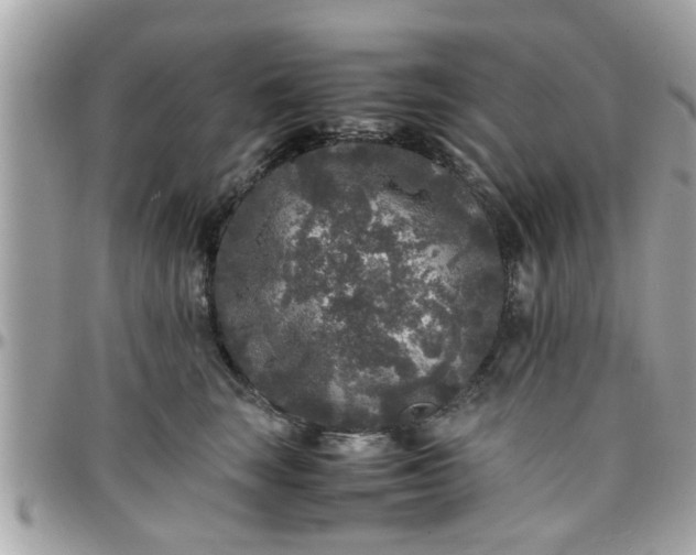 X0000097760663200803211715