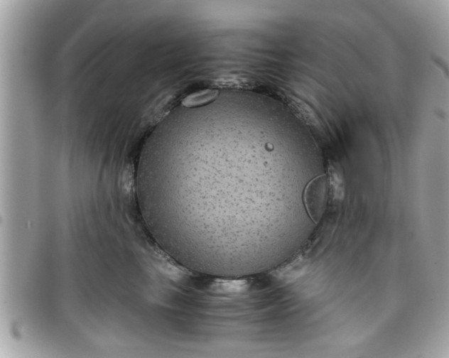 X0000097760665200803211715