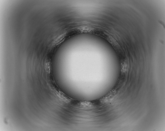 X0000097760666200803211715