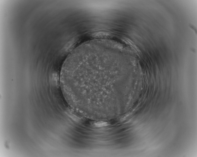 X0000097760669200803211715