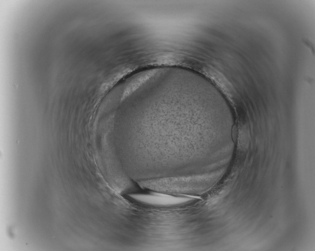 X0000097760673200803211715