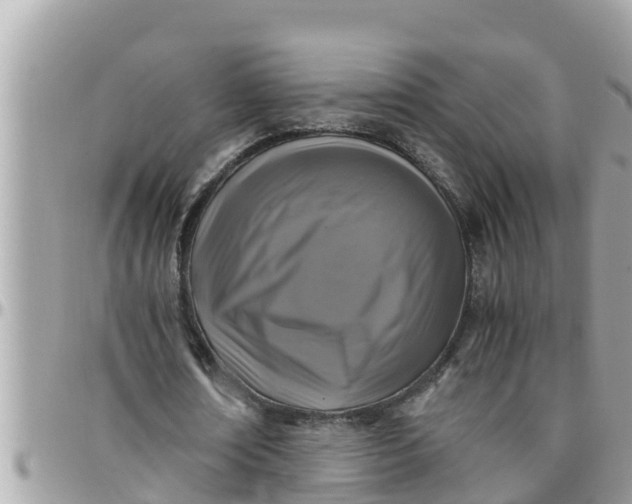 X0000097760674200803211715