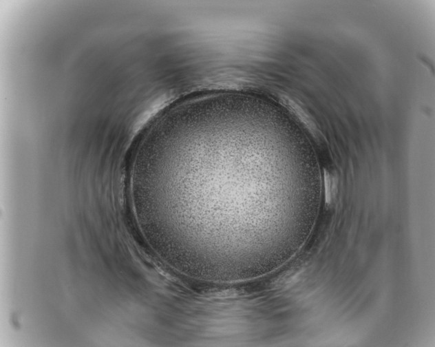 X0000097760675200803211715