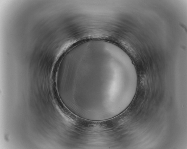 X0000097760678200803211715