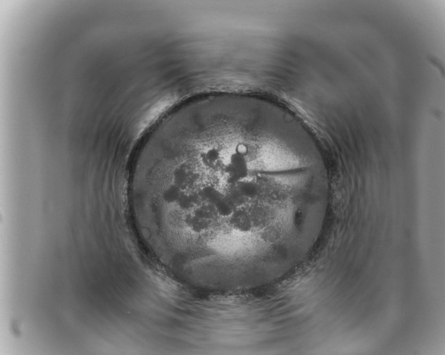 X0000097760679200803211715