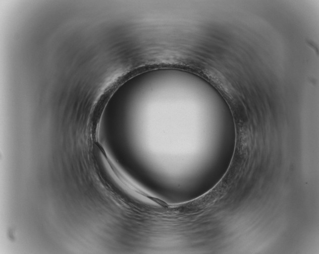 X0000097760680200803211715