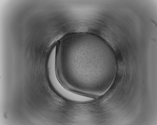 X0000097760681200803211715