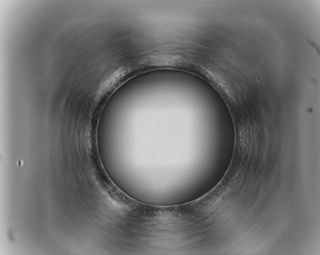 X0000097760682200803211715