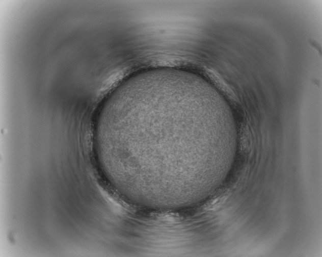 X0000097760683200803211715