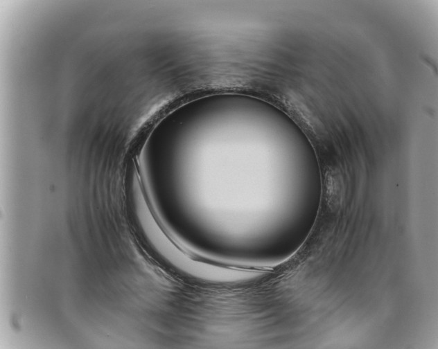 X0000097760684200803211715