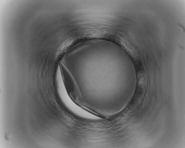 X0000097760685200803211714