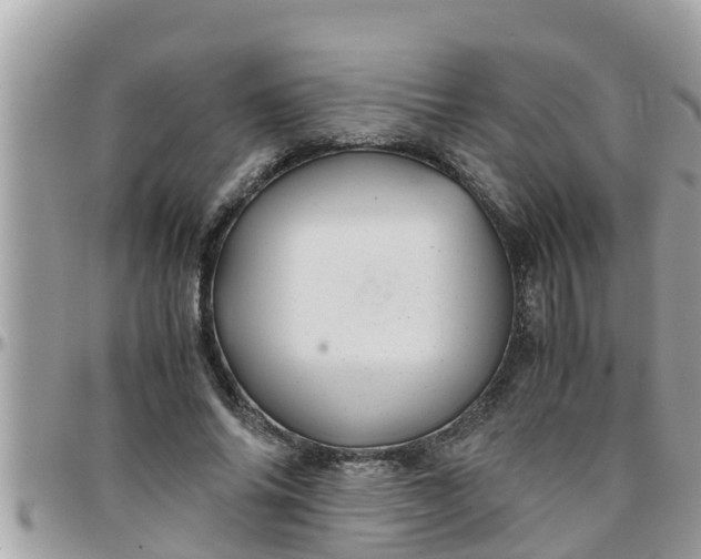 X0000097760686200803211714