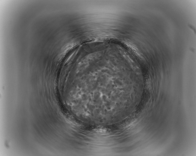 X0000097760687200803211714