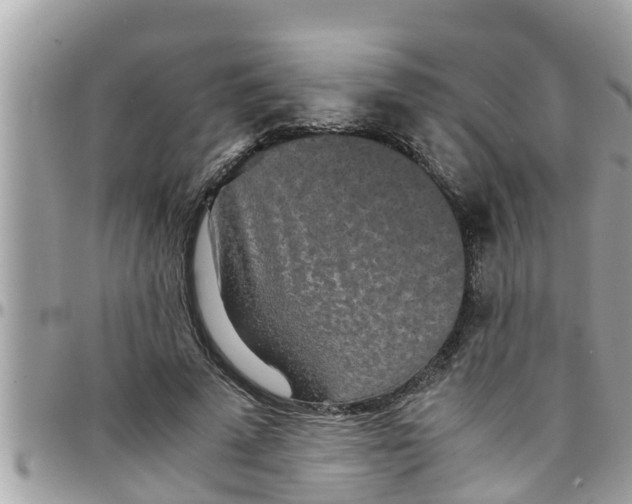 X0000097760689200803211714