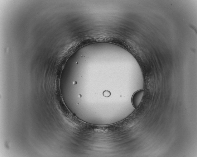 X0000097760690200803211714