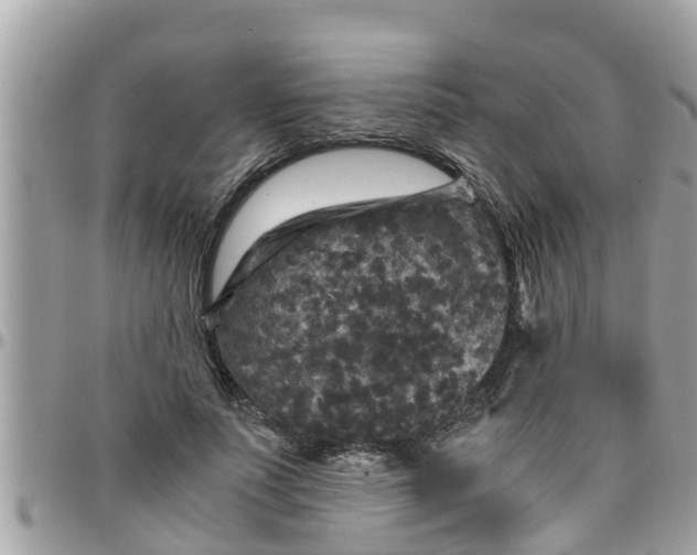 X0000097760691200803211714