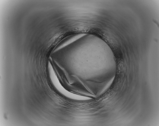 X0000097760693200803211714